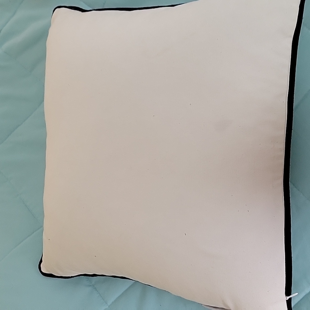 Rae Dunn pillows Gently used - Picture 6 of 8